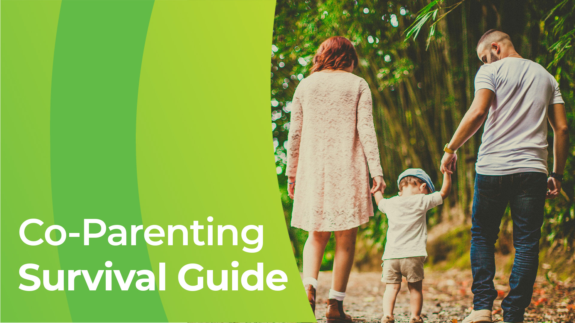 Co-Parenting Survival Guide